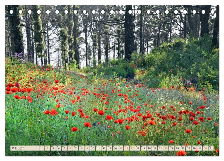 Produktbild: Magic Moments - LA PALMA (Tischkalender 2027 DIN A5 quer), CALVENDO Monatskalender