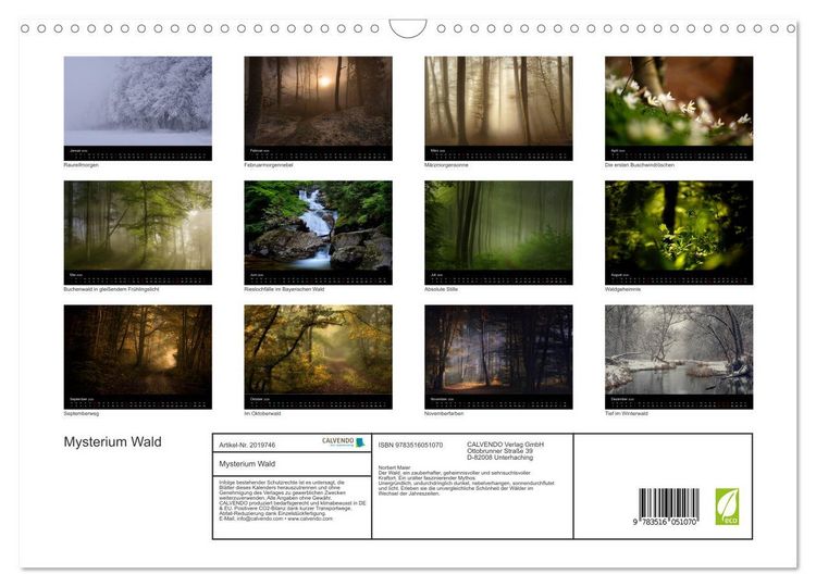 Produktbild: Mysterium Wald (Wandkalender 2026 DIN A3 quer), CALVENDO Monatskalender