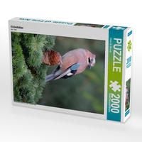 Produktbild: CALVENDO Puzzle Eichelh&auml;her 2000 Teile Lege-Gr&ouml;&szlig;e 67 x 90 cm Foto-Puzzle Bild von Dieter-M. Wilczek