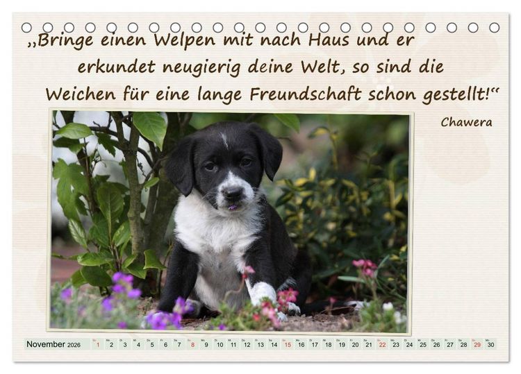 Produktbild: Mit Hundezitaten gut durchs Jahr (Tischkalender 2026 DIN A5 quer), CALVENDO Monatskalender