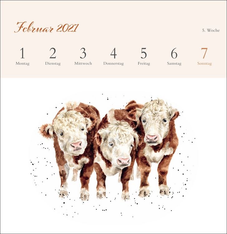 Produktbild: Hannah Dale: Happy Animals Premium-Postkartenkalender 2027