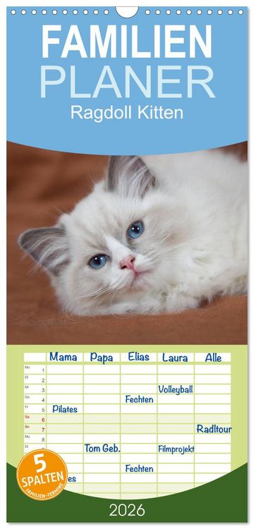 Produktbild: Familienplaner 2026 - Ragdoll Kitten mit 5 Spalten (Wandkalender, 21 x 45 cm) CALVENDO
