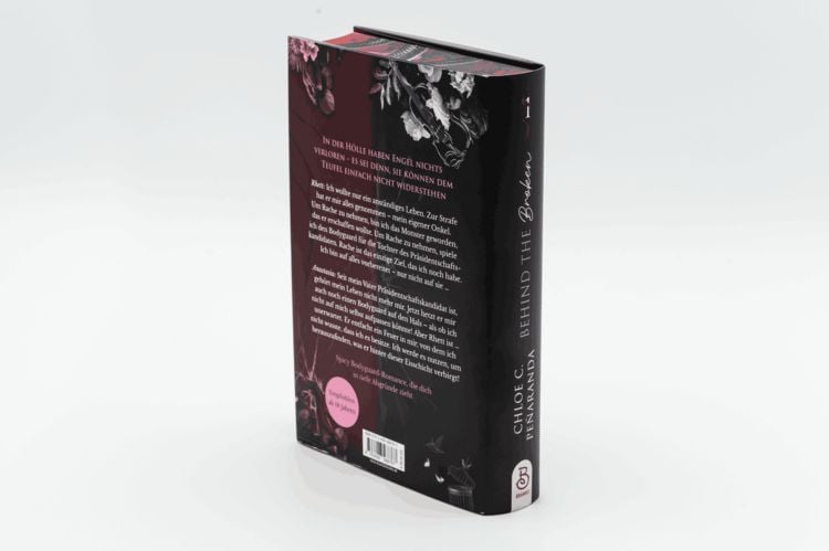 Produktbild: Behind the Broken. Der Vogel im K&auml;fig