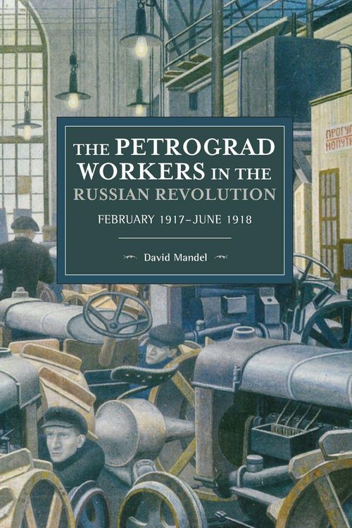 Produktbild: The Petrograd Workers in the Russian Revolution