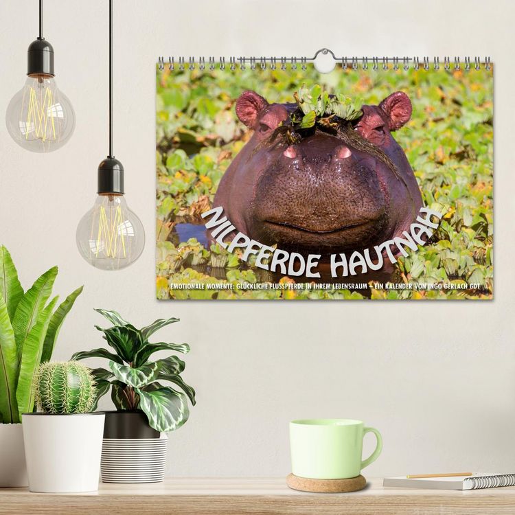 Produktbild: Emotionale Momente: Nilpferde hautnah (Wandkalender 2026 DIN A4 quer), CALVENDO Monatskalender