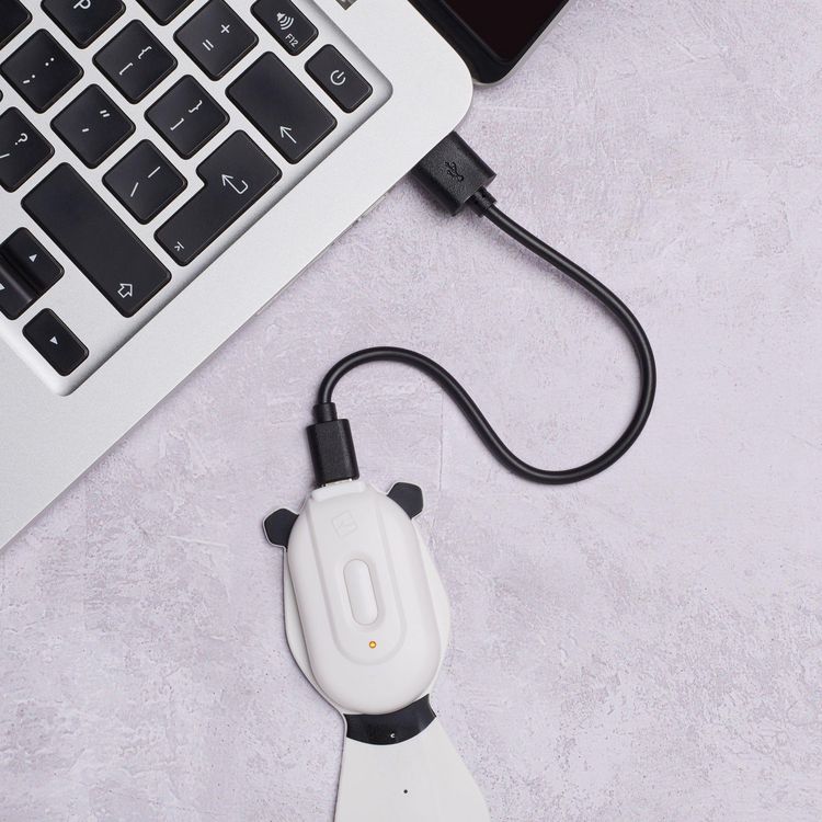 Produktbild: Flexilight Panda &ndash; Wiederaufladbares 2-in-1 LED-Leselicht