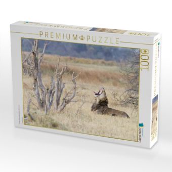 Produktbild: CALVENDO Puzzle Afrika: G&auml;hnender L&ouml;we, Botswana | 1000 Teile Lege-Gr&ouml;&szlig;e 64x48cm Foto-Puzzle f&uuml;r gl&uuml;ckliche Stunden