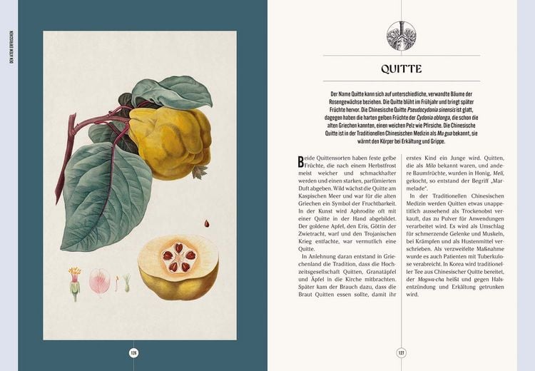 Produktbild: Der Garten des Apothekers