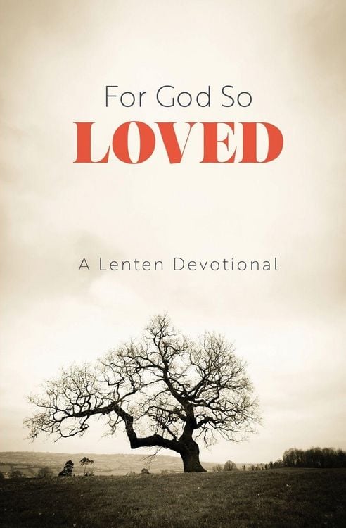 Produktbild: For God So Loved