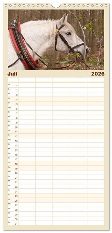 Produktbild: Familienplaner 2026 - Kaltblut - schwere Pferde mit Herz mit 5 Spalten (Wandkalender, 21 x 45 cm) CALVENDO