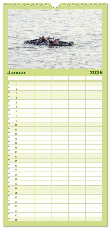Produktbild: Familienplaner 2026 - Nilpferde, Kolosse im Wasser mit 5 Spalten (Wandkalender, 21 x 45 cm) CALVENDO