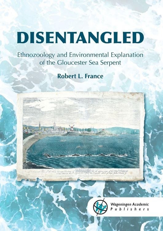 Produktbild: Disentangled