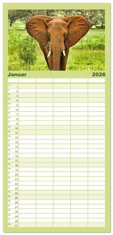 Produktbild: Familienplaner 2026 - Elefanten Begegnungen im &ouml;stlichen und s&uuml;dlichen Afrika mit 5 Spalten (Wandkalender, 21 x 45 cm) CALVENDO