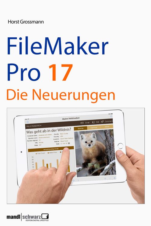 Produktbild: FileMaker Pro 17