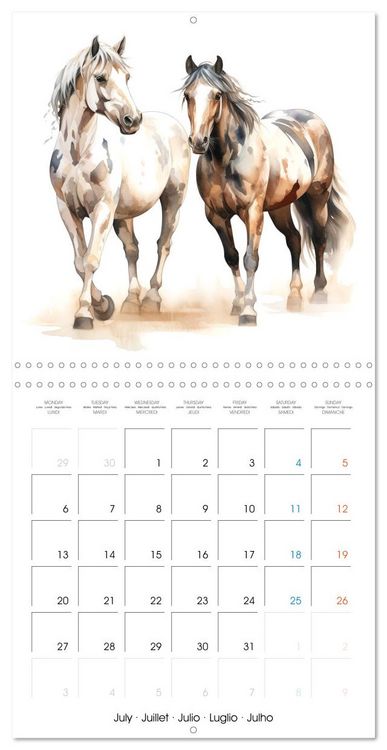 Produktbild: &Eacute;l&eacute;gance &eacute;quine (Calendrier mural carr&eacute; 2026 30x30 cm) Calendrier double avec une page pour vos prises de notes