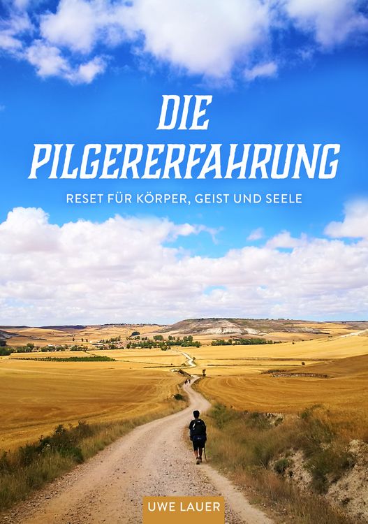 Produktbild: Die Pilgererfahrung