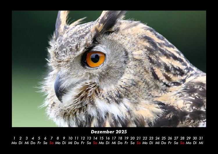 Produktbild: Der Tierkalender 2025 Fotokalender DIN A3