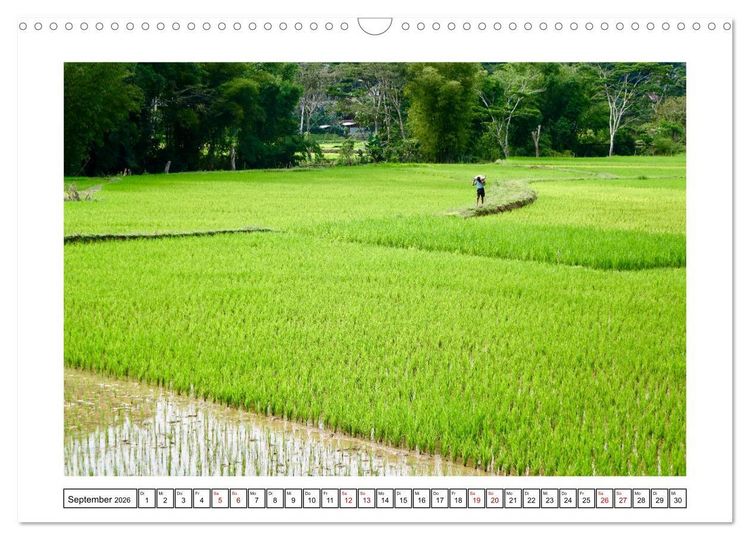 Produktbild: Indonesien. Bali - Java - Sulawesi (Wandkalender 2026 DIN A3 quer), CALVENDO Monatskalender