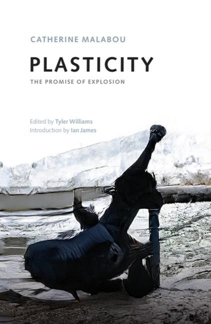 Produktbild: Plasticity
