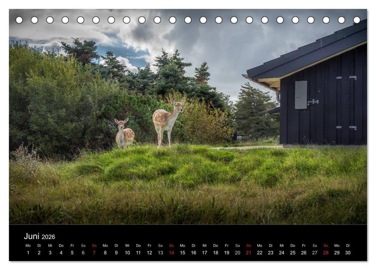 Produktbild: Fan&oslash; - Meine Insel (Tischkalender 2026 DIN A5 quer), CALVENDO Monatskalender