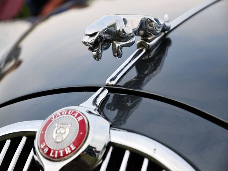 Produktbild: CALVENDO Puzzle K&uuml;hlerfigur Jaguar | 1000 Teile Lege-Gr&ouml;&szlig;e 64x48cm Foto-Puzzle f&uuml;r gl&uuml;ckliche Stunden