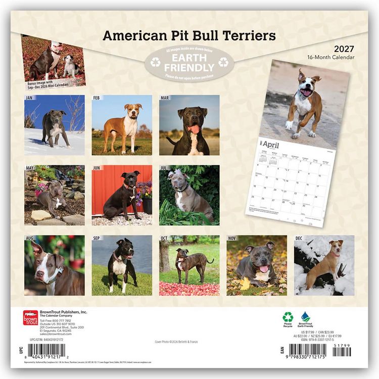 Produktbild: American Pit Bull Terriers 2027 &ndash; 16-Monatskalender