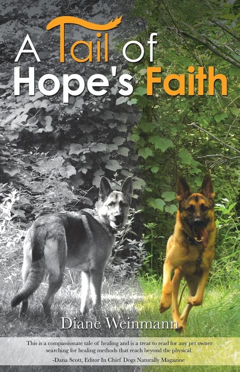 Produktbild: A Tail of Hope's Faith