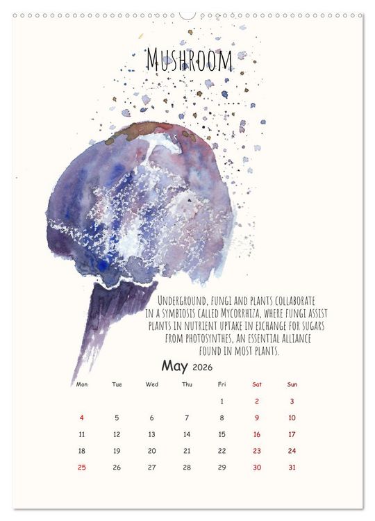 Produktbild: Symbiosis, the story of collaborations in nature (Wall Calendar 2026 DIN A2 portrait), CALVENDO 12 Month Wall Calendar