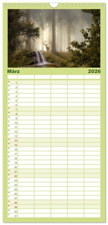 Produktbild: Familienplaner 2026 - Waldgeheimnisse mit 5 Spalten (Wandkalender, 21 x 45 cm) CALVENDO