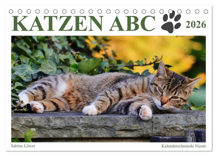 Produktbild: Katzen ABC (Tischkalender 2026 DIN A5 quer), CALVENDO Monatskalender