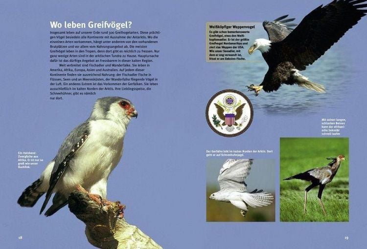 Produktbild: Entdecke die Greifv&ouml;gel