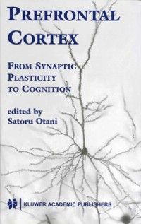 Produktbild: Prefrontal Cortex