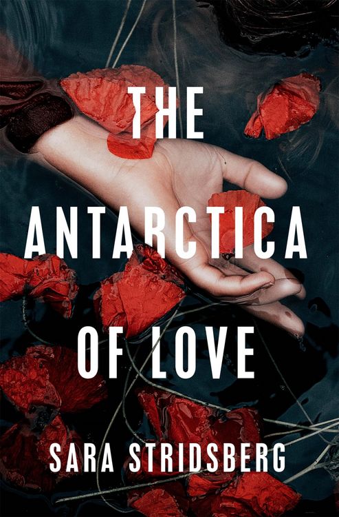 Produktbild: The Antarctica of Love