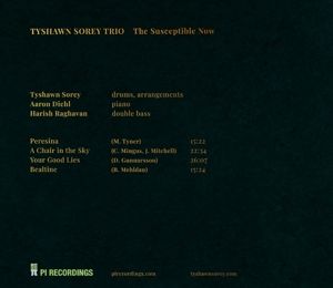 Produktbild: The Susceptible Now