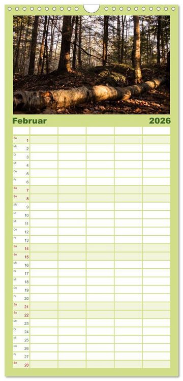 Produktbild: Familienplaner 2026 - Wald mit 5 Spalten (Wandkalender, 21 x 45 cm) CALVENDO