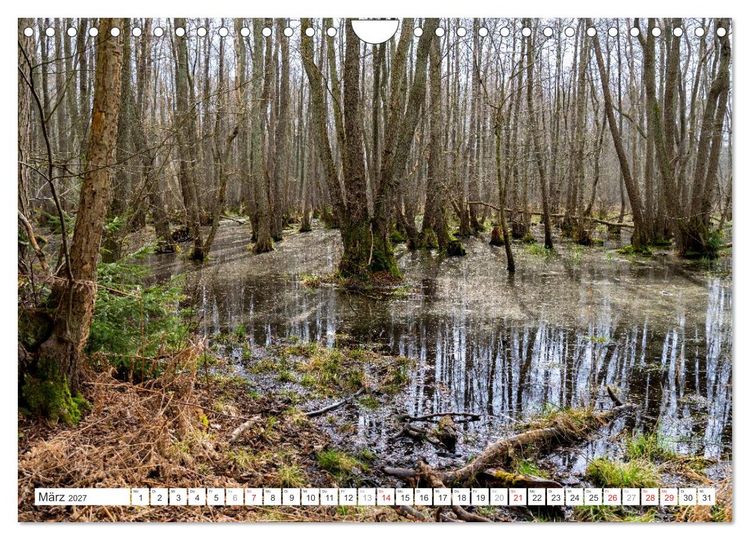 Produktbild: Mecklenburg-Vorpommern - Fischland-Dar&szlig;-Zingst (Wandkalender 2027 DIN A4 quer), CALVENDO Monatskalender
