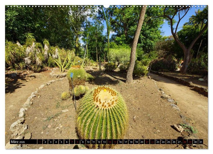 Produktbild: Botanischer Garten Palermo (Wandkalender 2026 DIN A2 quer), CALVENDO Monatskalender