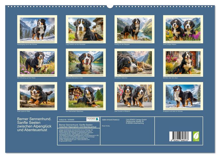 Produktbild: Berner Sennenhund. Sanfte Seelen zwischen Alpengl&uuml;ck und Abenteuerlust (hochwertiger Premium Wandkalender 2026 DIN A2 quer), Kunstdruck in Hochglanz