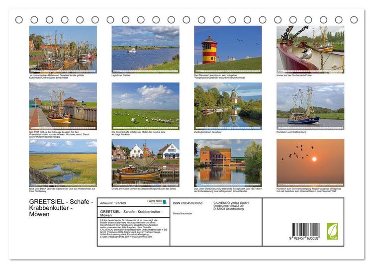 Produktbild: GREETSIEL - Schafe - Krabbenkutter - M&ouml;wen (Tischkalender 2026 DIN A5 quer), CALVENDO Monatskalender