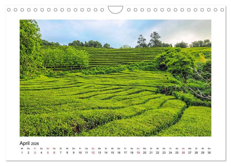 Produktbild: Sao Miguel - Die ganze Vielfalt der Azoren (Wandkalender 2026 DIN A4 quer), CALVENDO Monatskalender