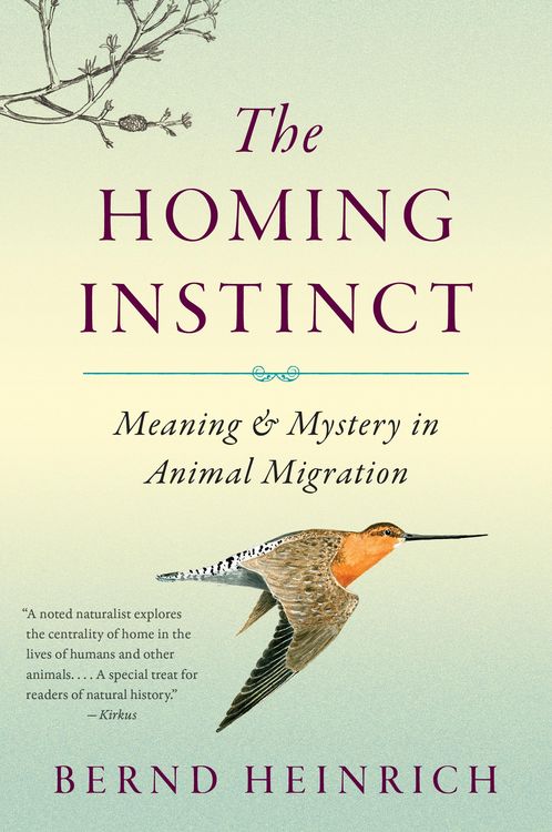 Produktbild: The Homing Instinct
