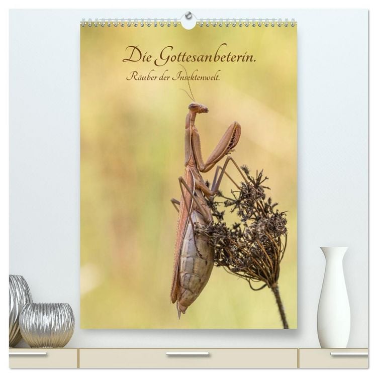 Produktbild: Die Gottesanbeterin. R&auml;uber der Insektenwelt. (hochwertiger Premium Wandkalender 2026 DIN A2 hoch), Kunstdruck in Hochglanz