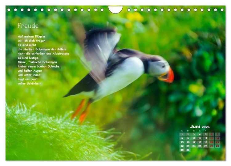 Produktbild: Lichtblicke f&uuml;r Auge und Seele - Der Kalender (Wandkalender 2026 DIN A4 quer), CALVENDO Monatskalender