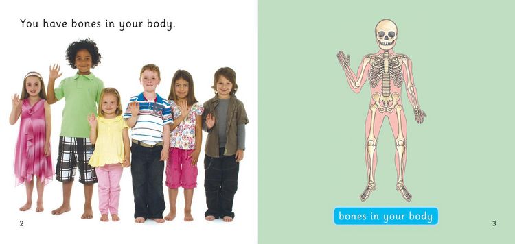 Produktbild: Bones