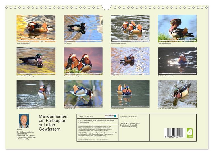 Produktbild: Mandarinenten, ein Farbtupfer auf allen Gew&auml;ssern. (Wandkalender 2026 DIN A3 quer), CALVENDO Monatskalender