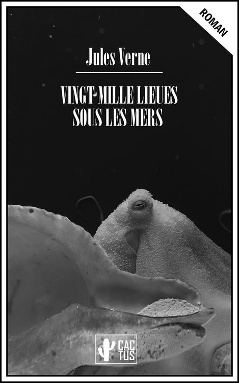 Produktbild: Vingt mille lieues sous les mers