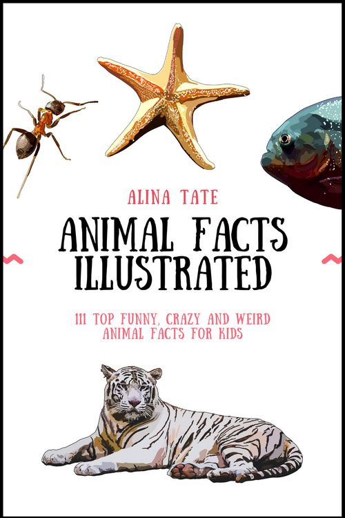 Produktbild: Animal Facts Illustrated: 111 Top Funny, Crazy, and Weird Animal Facts for Kids