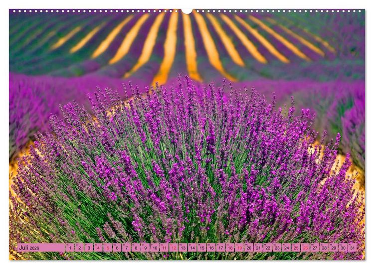 Produktbild: Lila - die mystische Farbe (Wandkalender 2026 DIN A2 quer), CALVENDO Monatskalender