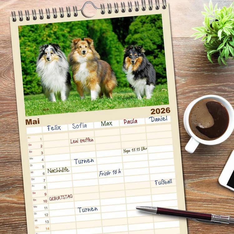 Produktbild: Familienplaner 2026 - Sheltie - Ein St&uuml;ck vom Gl&uuml;ck mit 5 Spalten (Wandkalender, 21 x 45 cm) CALVENDO