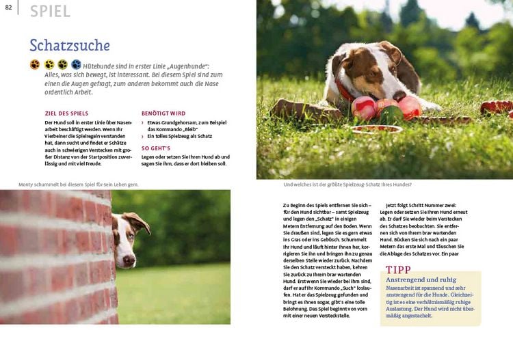 Produktbild: Spiele und Action f&uuml;r ausgeglichene H&uuml;tehunde